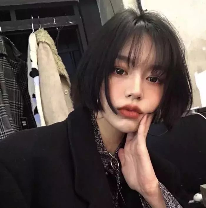 真相吧！花花万物